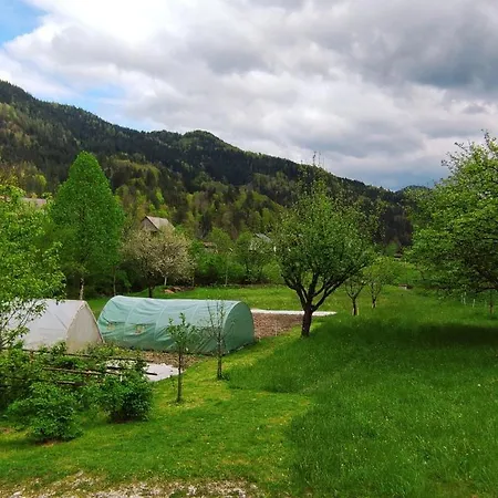 Domacija Markc Feriegård *