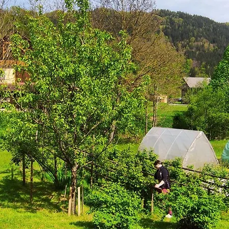 ファームステイ Domacija Markc ゴレンスカ地方