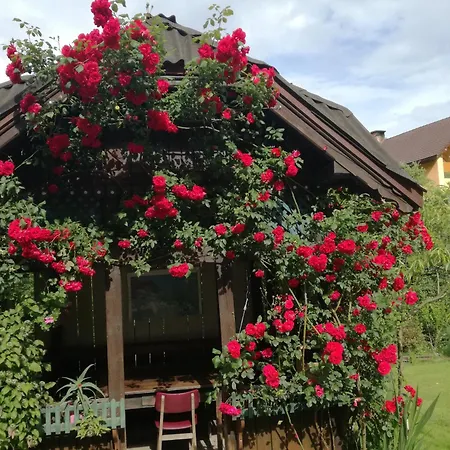 Domacija Markc Lantgård Zelezniki